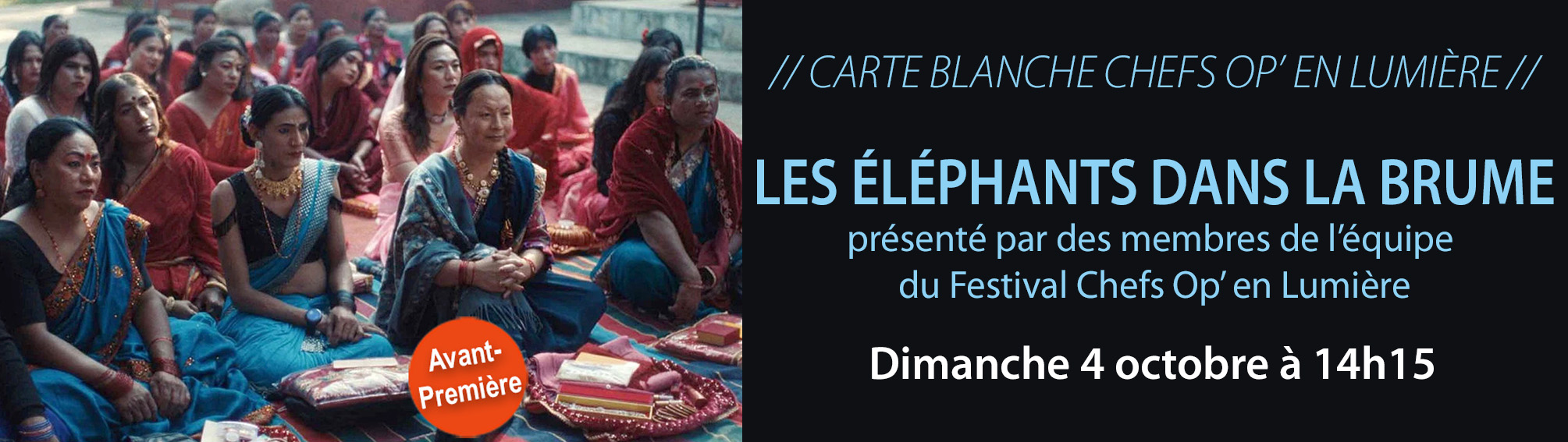 Slide2026-30-leselephantsdanslabrume